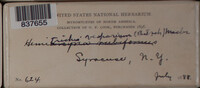 Image Associated With the Occurence